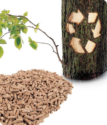 Pellets - Houtpellets - Holzpellets